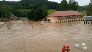 Guća X, junij 3, 19